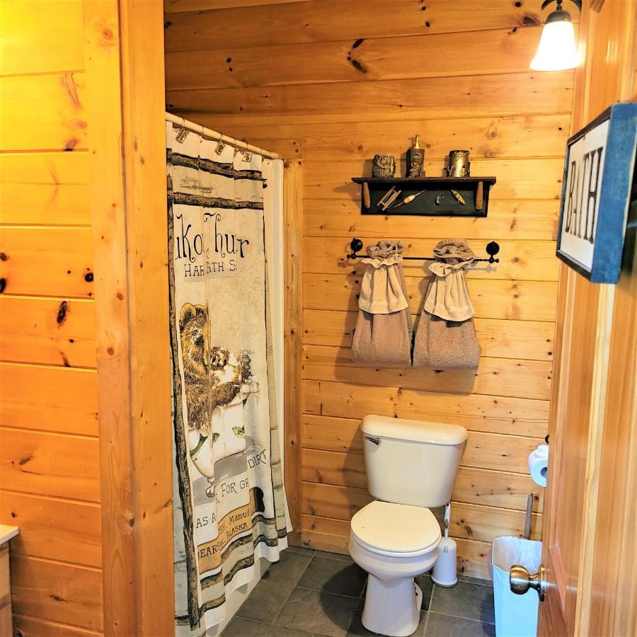Skinny Dippin'-River Front- Free Tickets-Dog Friendly-Sleeps 6 Пиджен-Фордж Экстерьер фото
