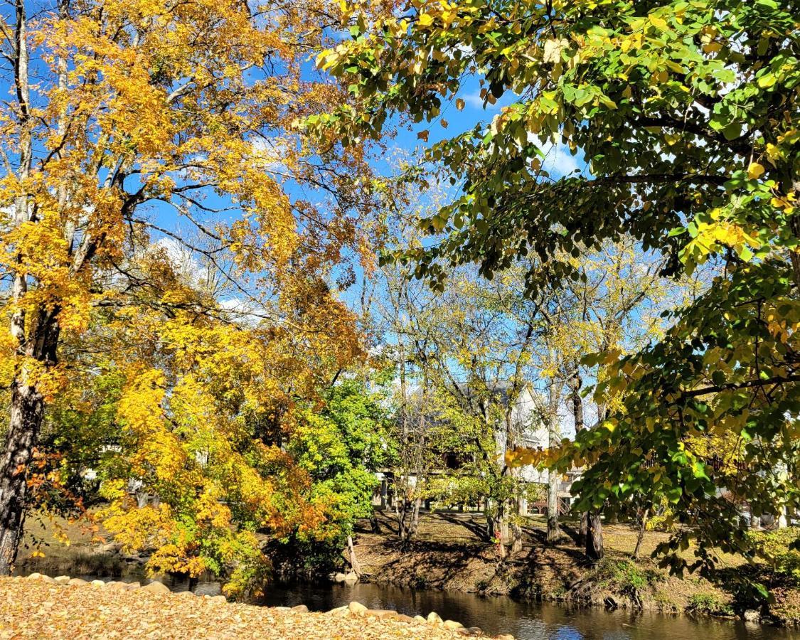 Skinny Dippin'-River Front- Free Tickets-Dog Friendly-Sleeps 6 Пиджен-Фордж Экстерьер фото